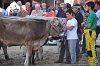 051 Fiera Zootecnica di Serina 2019